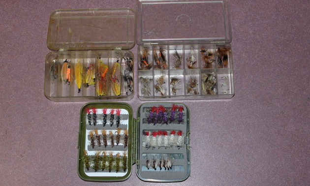 Selection of trout flies.