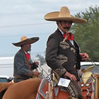 person riding a horse in the Carrot Festival Parade