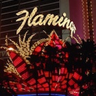 Flamingo Hotel