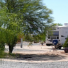 Palo verde tree in an RV park, Florence Arizona