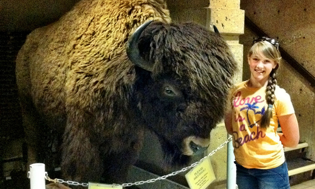 girl standing beside a stuffed buffalo