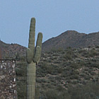 Sign for the casino in Fort McDowell, Arizona