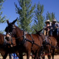 During your Arizona holiday, be sure to visit historic Fort Verde. — Photo courtesy Arizona State Parks

