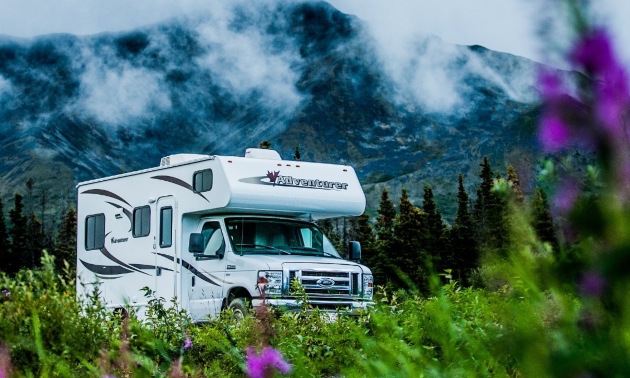 RV in a field of wildflowers