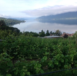 Sun coming up over lake Okanagon kelowna b c