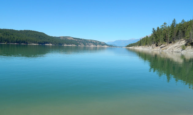 A view of Lake Koocanusa on a serene morning.