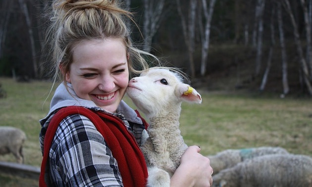 April is lambing season at Aveley Alpine Ranch.