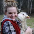 April is lambing season at Aveley Alpine Ranch.