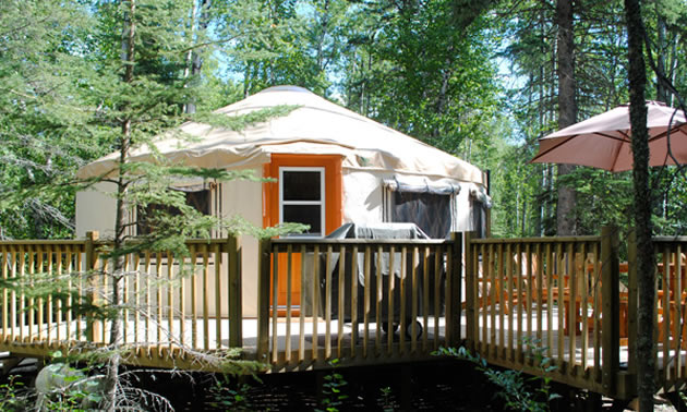 The year-round yurt lodgings at Flora Bora, less than a two-hour drive from Saskatoon, are nestled in 30 acres of forest and near beaches. 