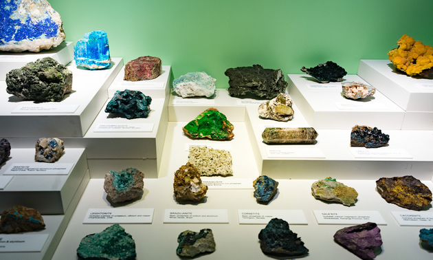 mineral samples on a display table