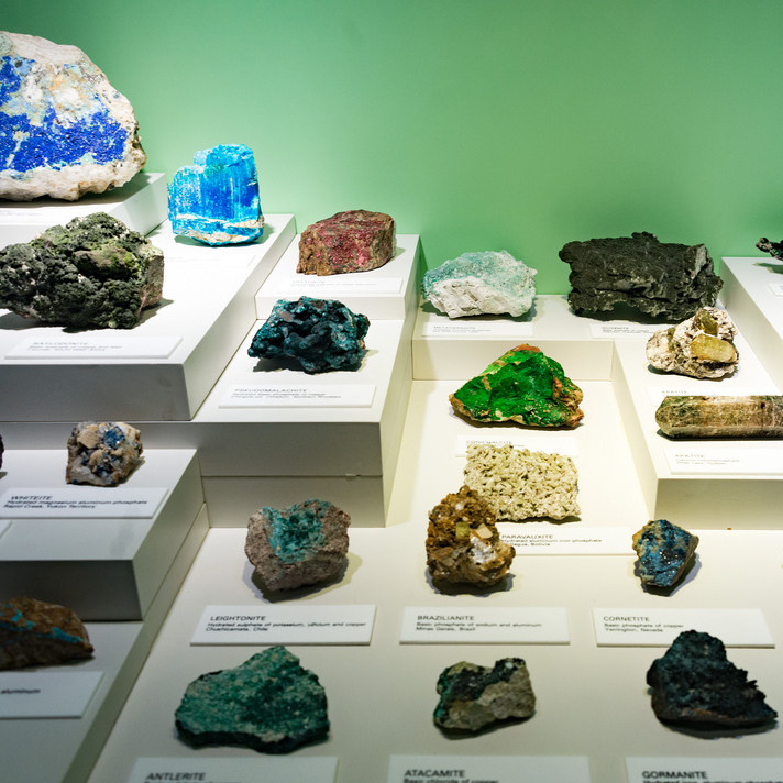 mineral samples on a display table