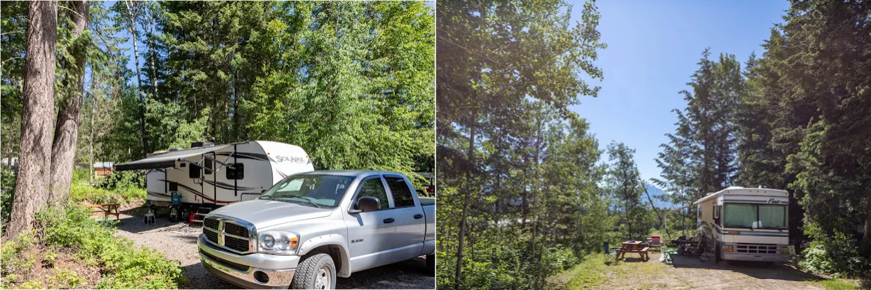 Campground surrounded by trees, with truck and camper parked at a site