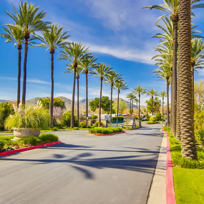 Entrance to Golden Village Palms Resort, with palm trees lining the road. 