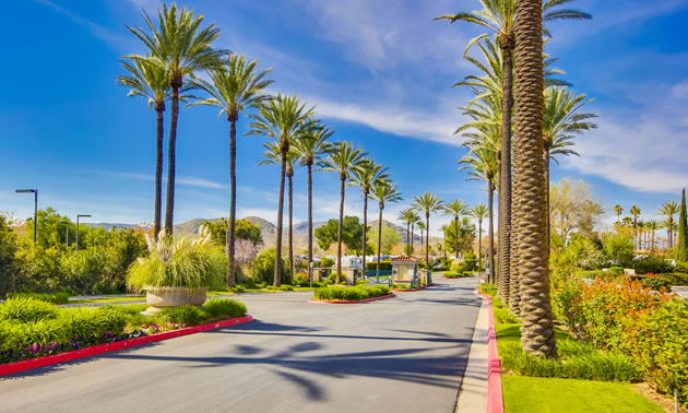 Entrance to Golden Village Palms Resort, with palm trees lining the road. 