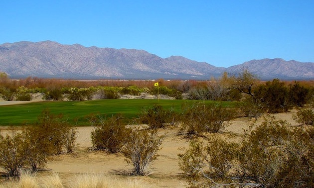 Greasewood Golf Lynx