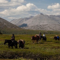 Pack horses traveling through Stone Mountain Provincial Park.