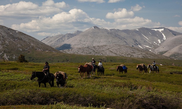 Pack horses traveling through Stone Mountain Provincial Park.