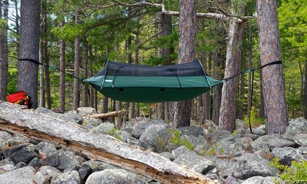 Blue Ridge Camping Hammock set up between some trees. 