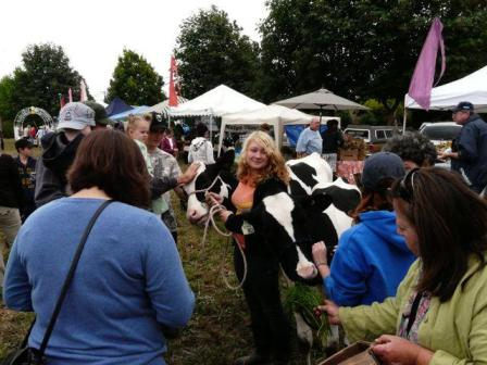A young women showing the market goers two dairy cows.