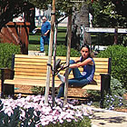 garden with people in it, in San Jacinto Museum, CA