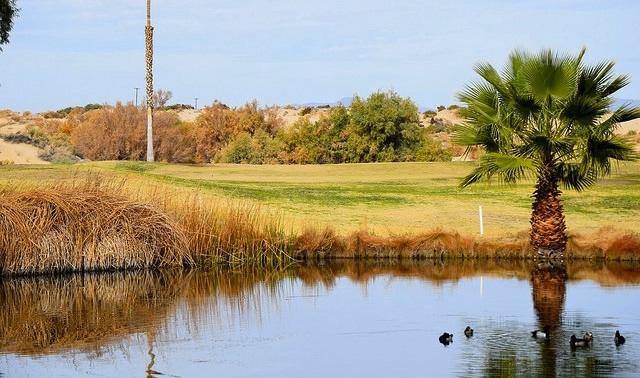 Another view of Hole 2 at Roadrunner Dunes.