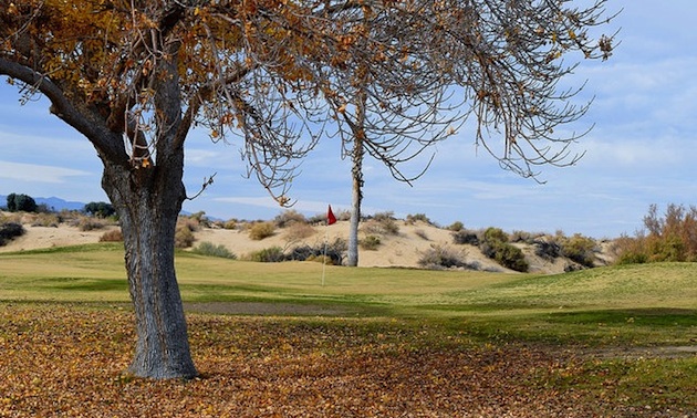 Roadrunner Dunes Golf Course
