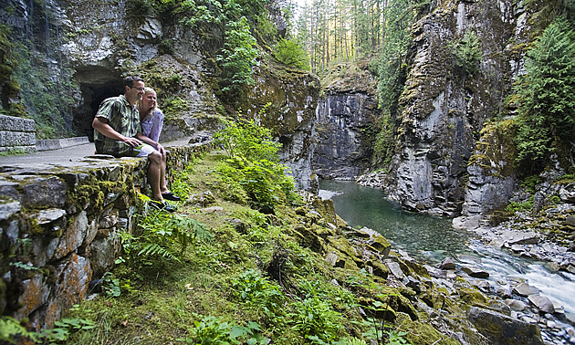 people sitting by a wooded area and waterfall