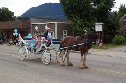 Clydesdale horse pulling a carriage
