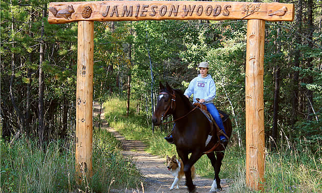 woman riding a horse in Jamieson Woods Nature Preserve