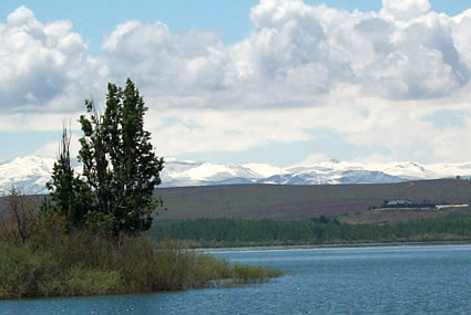 Owyhee Mountains in background