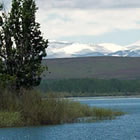 Owyhee Mountains in background