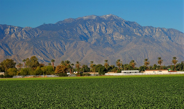 Field crops and date trees create the foreground for the Indio Hills Mountain Range in Indio, California.