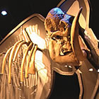 A mammoth exhibit with children standing in front of it