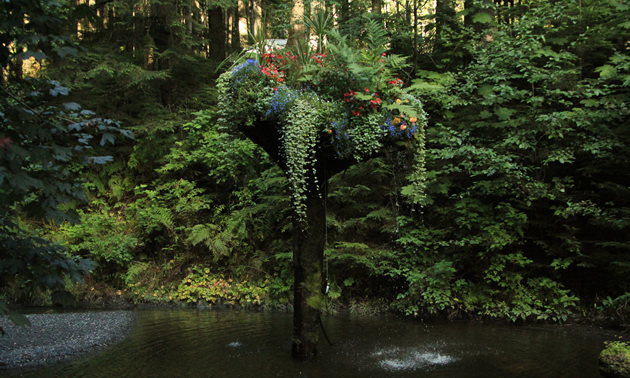 The Upside-Down Flower Tower at Glacier Gardens was recognized in Reader's Digest in 2012 as America’s most interesting landmark.