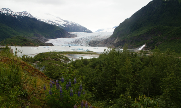 Shown is a glacier in Juneau, Alaska.