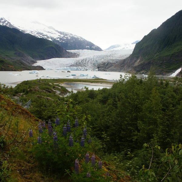 Shown is a glacier in Juneau, Alaska.