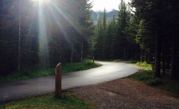 Peter Lougheed Provincial Park, Alberta