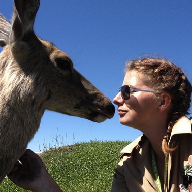 Trainer Serena Bos with Mule Deer, Mari Jegou at Discovery Wildlife Park.