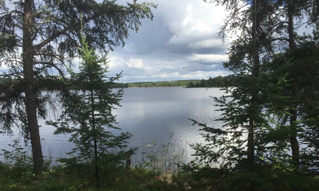 Scenic picture of lake in between trees. 