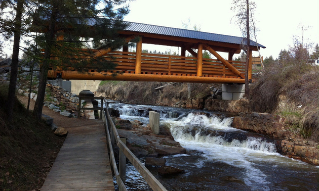 Marysville Falls, near Kimberley, BC.