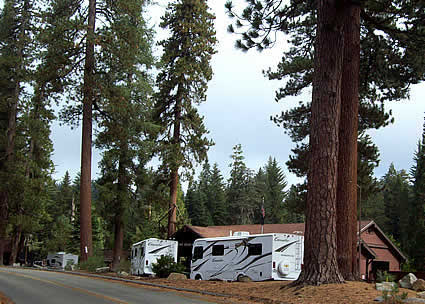 Rvs in the park