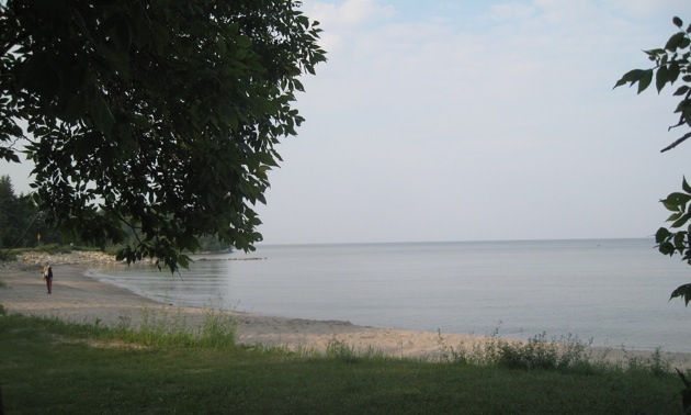 View of the shore of Lake Winnipeg.