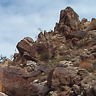 petroglyphs on rocks