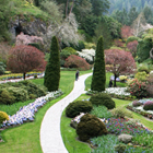 looking down at a lush garden with pathways, trees and colourful flowers