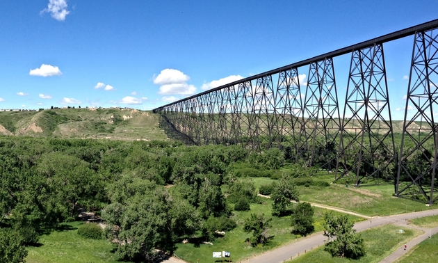 Bridge with the trees below and a sunny sky