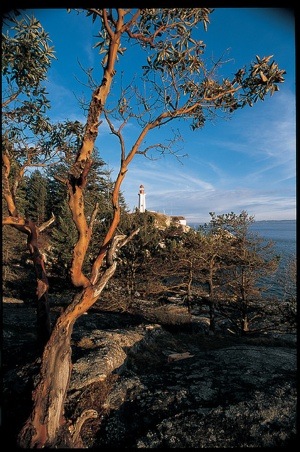 A view of the majestic Point Atkinson Lighthouse in Lighthouse Park, West Vancouver, BC