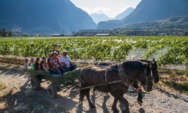 people in a horse-drawn wagon