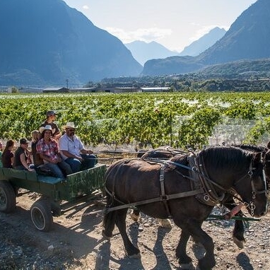 people in a horse-drawn wagon