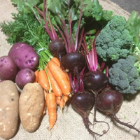 Veggies grown by Rick and Karen Parent. 