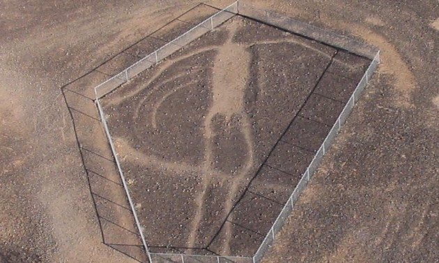 Primitive male figure scraped in desert landscape